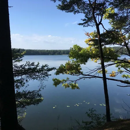 Zielone Nowy Zyzdroj