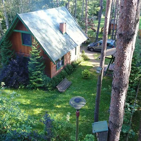 Zielone Nowy Zyzdroj