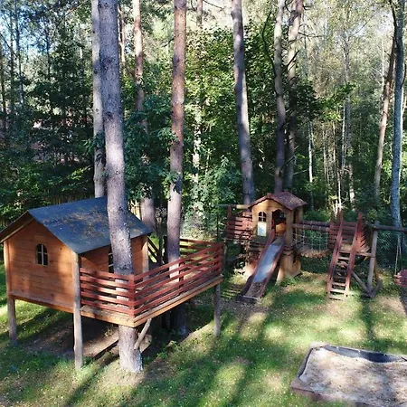 Zielone Nowy Zyzdroj