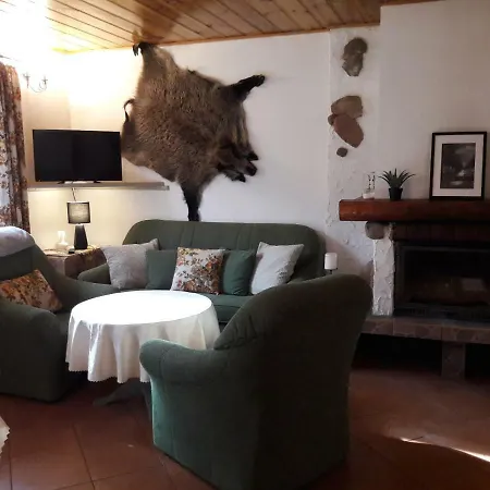 Zielone Casa de Férias *