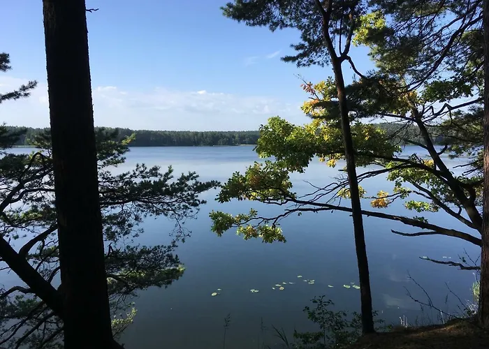 Zielone Nowy Zyzdroj