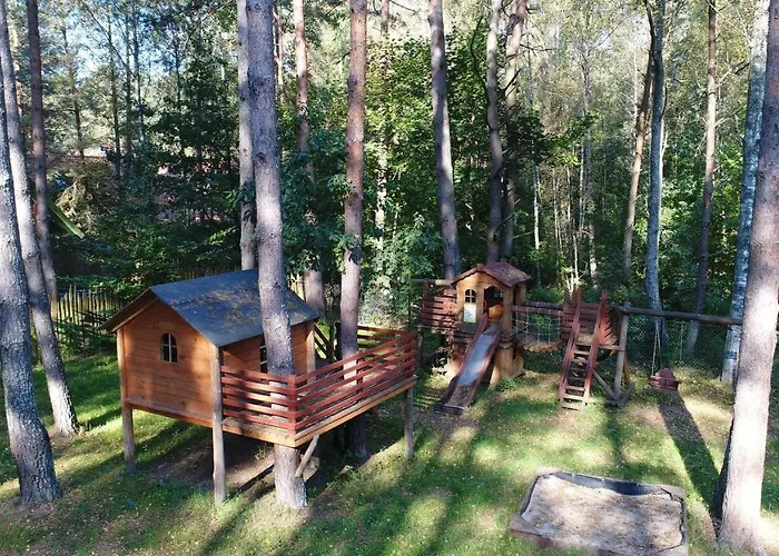 Zielone Nowy Zyzdroj